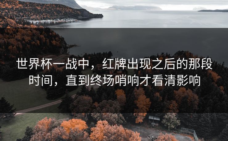 世界杯一战中，红牌出现之后的那段时间，直到终场哨响才看清影响